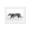 Picture of Tiger Path _GroupedProduct_Rectangle_Landscape_Photography _GroupedProduct_Rectangle_Landscape_Framed_Matted_