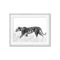 Picture of Tiger Path _GroupedProduct_Rectangle_Landscape_Photography _GroupedProduct_Rectangle_Landscape_Framed_Matted_