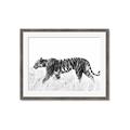 Picture of Tiger Path _GroupedProduct_Rectangle_Landscape_Photography _GroupedProduct_Rectangle_Landscape_Framed_Matted_