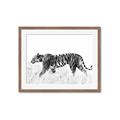 Picture of Tiger Path _GroupedProduct_Rectangle_Landscape_Photography _GroupedProduct_Rectangle_Landscape_Framed_Matted_