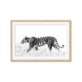 Picture of Tiger Path _GroupedProduct_Rectangle_Landscape_Photography _GroupedProduct_Rectangle_Landscape_Framed_Matted_