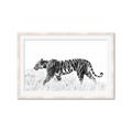 Picture of Tiger Path _GroupedProduct_Rectangle_Landscape_Photography _GroupedProduct_Rectangle_Landscape_Framed_Matted_