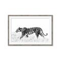 Picture of Tiger Path _GroupedProduct_Rectangle_Landscape_Photography _GroupedProduct_Rectangle_Landscape_Framed_Matted_