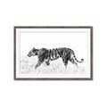 Picture of Tiger Path _GroupedProduct_Rectangle_Landscape_Photography _GroupedProduct_Rectangle_Landscape_Framed_Matted_