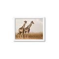 Picture of Twice as Tall _GroupedProduct_Rectangle_Landscape_Photography _GroupedProduct_Rectangle_Landscape_Framed_Matted_