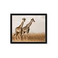 Picture of Twice as Tall _GroupedProduct_Rectangle_Landscape_Photography _GroupedProduct_Rectangle_Landscape_Framed_Matted_