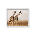 Picture of Twice as Tall _GroupedProduct_Rectangle_Landscape_Photography _GroupedProduct_Rectangle_Landscape_Framed_Matted_