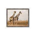 Picture of Twice as Tall _GroupedProduct_Rectangle_Landscape_Photography _GroupedProduct_Rectangle_Landscape_Framed_Matted_