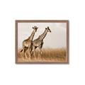 Picture of Twice as Tall _GroupedProduct_Rectangle_Landscape_Photography _GroupedProduct_Rectangle_Landscape_Framed_Matted_
