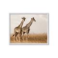 Picture of Twice as Tall _GroupedProduct_Rectangle_Landscape_Photography _GroupedProduct_Rectangle_Landscape_Framed_Matted_