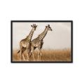 Picture of Twice as Tall _GroupedProduct_Rectangle_Landscape_Photography _GroupedProduct_Rectangle_Landscape_Framed_Matted_