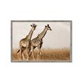 Picture of Twice as Tall _GroupedProduct_Rectangle_Landscape_Photography _GroupedProduct_Rectangle_Landscape_Framed_Matted_