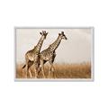 Picture of Twice as Tall _GroupedProduct_Rectangle_Landscape_Photography _GroupedProduct_Rectangle_Landscape_Framed_Matted_