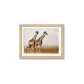 Picture of Twice as Tall _GroupedProduct_Rectangle_Landscape_Photography _GroupedProduct_Rectangle_Landscape_Framed_Matted_
