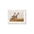 Picture of Twice as Tall _GroupedProduct_Rectangle_Landscape_Photography _GroupedProduct_Rectangle_Landscape_Framed_Matted_