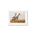 Picture of Twice as Tall _GroupedProduct_Rectangle_Landscape_Photography _GroupedProduct_Rectangle_Landscape_Framed_Matted_