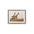 Picture of Twice as Tall _GroupedProduct_Rectangle_Landscape_Photography _GroupedProduct_Rectangle_Landscape_Framed_Matted_