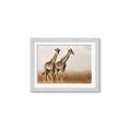 Picture of Twice as Tall _GroupedProduct_Rectangle_Landscape_Photography _GroupedProduct_Rectangle_Landscape_Framed_Matted_