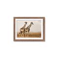 Picture of Twice as Tall _GroupedProduct_Rectangle_Landscape_Photography _GroupedProduct_Rectangle_Landscape_Framed_Matted_