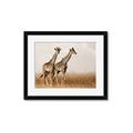 Picture of Twice as Tall _GroupedProduct_Rectangle_Landscape_Photography _GroupedProduct_Rectangle_Landscape_Framed_Matted_