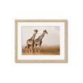 Picture of Twice as Tall _GroupedProduct_Rectangle_Landscape_Photography _GroupedProduct_Rectangle_Landscape_Framed_Matted_
