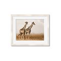 Picture of Twice as Tall _GroupedProduct_Rectangle_Landscape_Photography _GroupedProduct_Rectangle_Landscape_Framed_Matted_