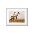Picture of Twice as Tall _GroupedProduct_Rectangle_Landscape_Photography _GroupedProduct_Rectangle_Landscape_Framed_Matted_