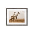 Picture of Twice as Tall _GroupedProduct_Rectangle_Landscape_Photography _GroupedProduct_Rectangle_Landscape_Framed_Matted_