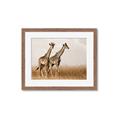 Picture of Twice as Tall _GroupedProduct_Rectangle_Landscape_Photography _GroupedProduct_Rectangle_Landscape_Framed_Matted_