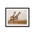 Picture of Twice as Tall _GroupedProduct_Rectangle_Landscape_Photography _GroupedProduct_Rectangle_Landscape_Framed_Matted_