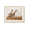 Picture of Twice as Tall _GroupedProduct_Rectangle_Landscape_Photography _GroupedProduct_Rectangle_Landscape_Framed_Matted_