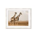 Picture of Twice as Tall _GroupedProduct_Rectangle_Landscape_Photography _GroupedProduct_Rectangle_Landscape_Framed_Matted_