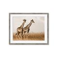 Picture of Twice as Tall _GroupedProduct_Rectangle_Landscape_Photography _GroupedProduct_Rectangle_Landscape_Framed_Matted_