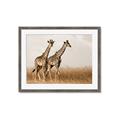 Picture of Twice as Tall _GroupedProduct_Rectangle_Landscape_Photography _GroupedProduct_Rectangle_Landscape_Framed_Matted_