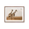 Picture of Twice as Tall _GroupedProduct_Rectangle_Landscape_Photography _GroupedProduct_Rectangle_Landscape_Framed_Matted_