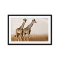 Picture of Twice as Tall _GroupedProduct_Rectangle_Landscape_Photography _GroupedProduct_Rectangle_Landscape_Framed_Matted_