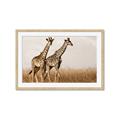 Picture of Twice as Tall _GroupedProduct_Rectangle_Landscape_Photography _GroupedProduct_Rectangle_Landscape_Framed_Matted_