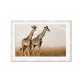 Picture of Twice as Tall _GroupedProduct_Rectangle_Landscape_Photography _GroupedProduct_Rectangle_Landscape_Framed_Matted_