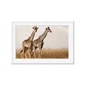Picture of Twice as Tall _GroupedProduct_Rectangle_Landscape_Photography _GroupedProduct_Rectangle_Landscape_Framed_Matted_