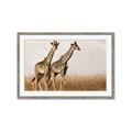 Picture of Twice as Tall _GroupedProduct_Rectangle_Landscape_Photography _GroupedProduct_Rectangle_Landscape_Framed_Matted_