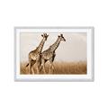 Picture of Twice as Tall _GroupedProduct_Rectangle_Landscape_Photography _GroupedProduct_Rectangle_Landscape_Framed_Matted_