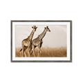 Picture of Twice as Tall _GroupedProduct_Rectangle_Landscape_Photography _GroupedProduct_Rectangle_Landscape_Framed_Matted_