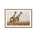 Picture of Twice as Tall _GroupedProduct_Rectangle_Landscape_Photography _GroupedProduct_Rectangle_Landscape_Framed_Matted_