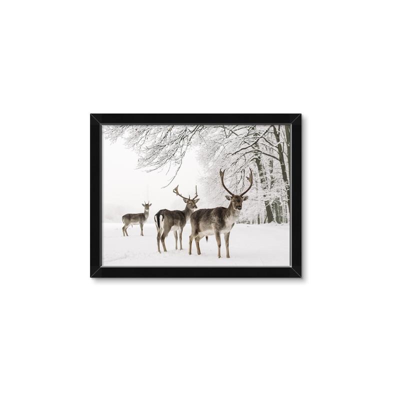 Picture of Winter Deers _GroupedProduct_Rectangle_Landscape_Photography _GroupedProduct_Rectangle_Landscape_Framed_Matted_