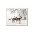 Picture of Winter Deers _GroupedProduct_Rectangle_Landscape_Photography _GroupedProduct_Rectangle_Landscape_Framed_Matted_
