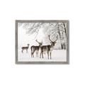 Picture of Winter Deers _GroupedProduct_Rectangle_Landscape_Photography _GroupedProduct_Rectangle_Landscape_Framed_Matted_
