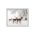 Picture of Winter Deers _GroupedProduct_Rectangle_Landscape_Photography _GroupedProduct_Rectangle_Landscape_Framed_Matted_