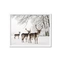Picture of Winter Deers _GroupedProduct_Rectangle_Landscape_Photography _GroupedProduct_Rectangle_Landscape_Framed_Matted_