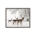 Picture of Winter Deers _GroupedProduct_Rectangle_Landscape_Photography _GroupedProduct_Rectangle_Landscape_Framed_Matted_