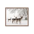 Picture of Winter Deers _GroupedProduct_Rectangle_Landscape_Photography _GroupedProduct_Rectangle_Landscape_Framed_Matted_